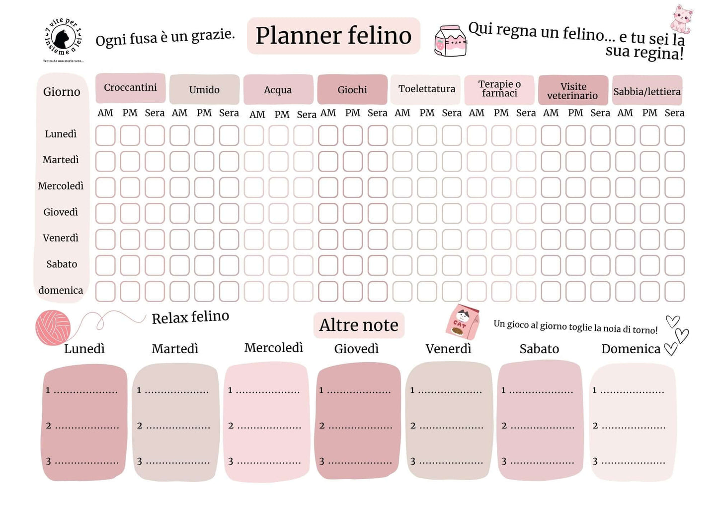 Planner professionale per la tua cat sitter – Tutto quello che deve sapere per coccolare il tuo gatto