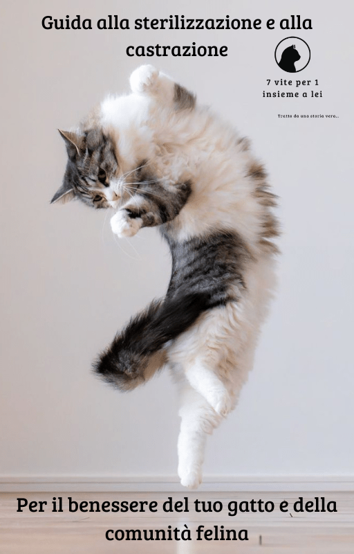Scelti con amore – Guida alla sterilizzazione e castrazione del gatto 🐾 - 7 vite per 1 insieme a lei 🐾Scelti con amore – Guida alla sterilizzazione e castrazione del gatto 🐾E - bookSimona magri7 vite per 1 insieme a lei 🐾Scelti con amore – Guida alla sterilizzazione e castrazione del gatto 🐾