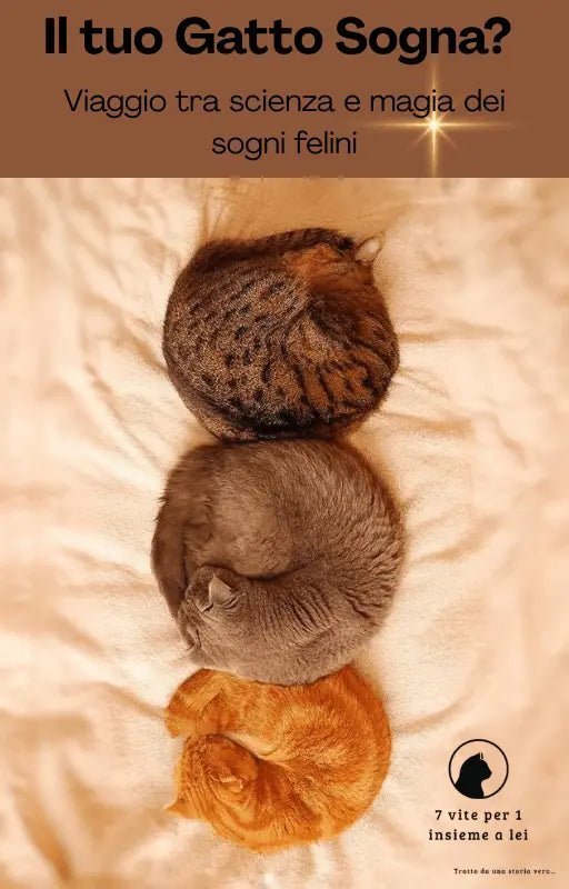 Cosa Sognano i Gatti? Il Mistero dei Sogni Felini e Come Riconoscerli - 7 vite per 1 insieme a lei 🐾