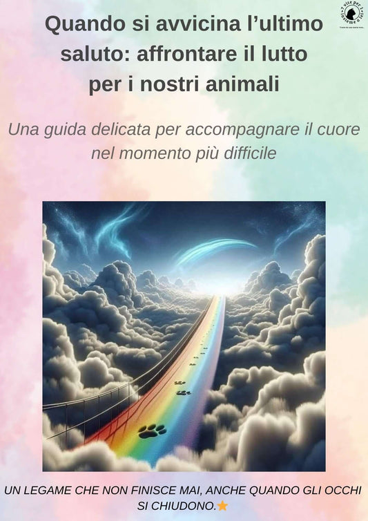 💛 Affrontare il lutto per i nostri animali. Guida delicata