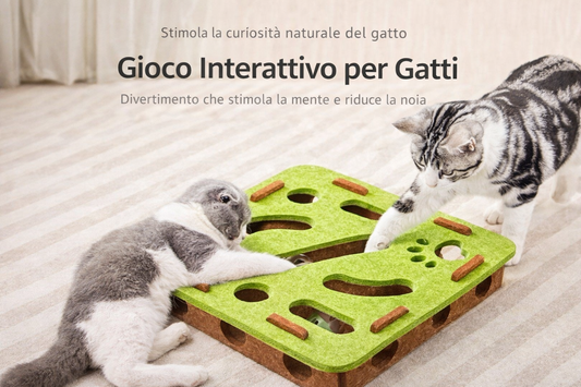 Gioco interattivo a labirinto per gatti. Stimolazione mentale e divertimento