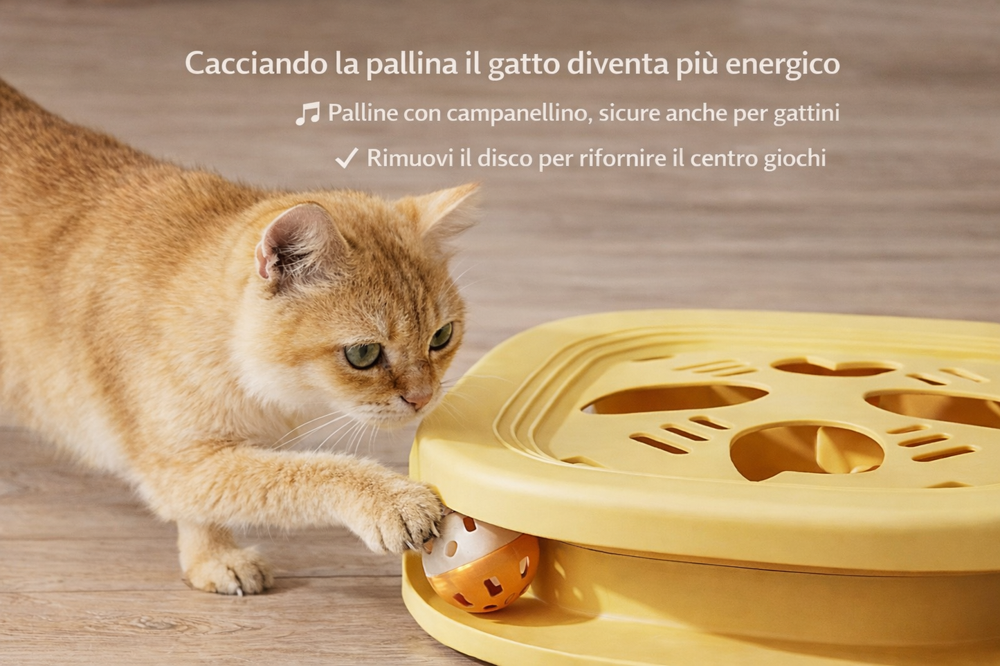 Gioco interattivo per gatti. Stimolazione mentale e divertimento quotidiano
