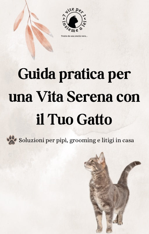 📖 Guida pratica per una vita serena con il tuo gatto