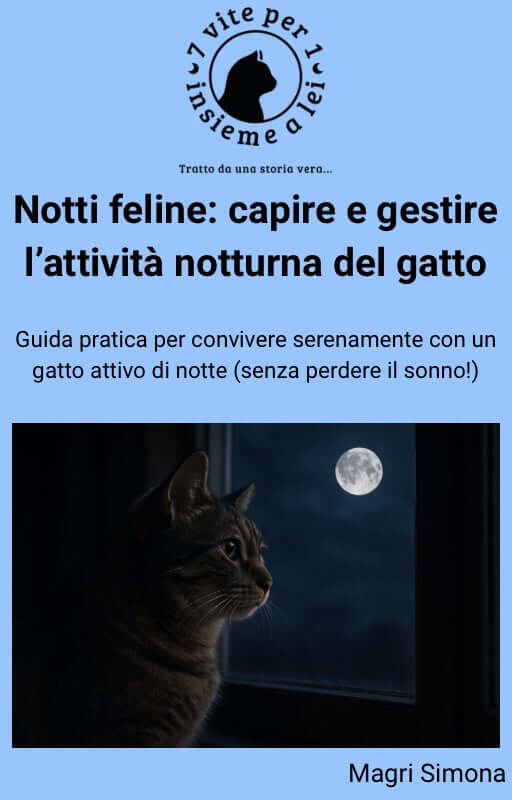 🌙 Notti serene con il tuo gatto. Guida pratica