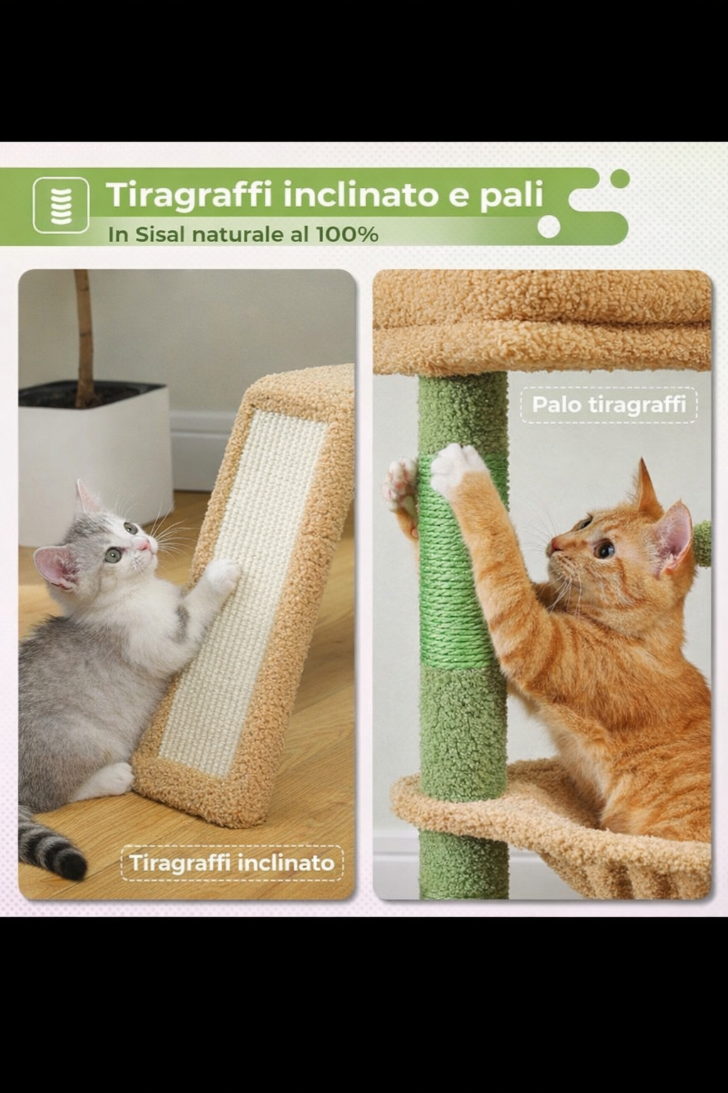 Il regalo perfetto per il tuo grande amore: il tuo gatto!