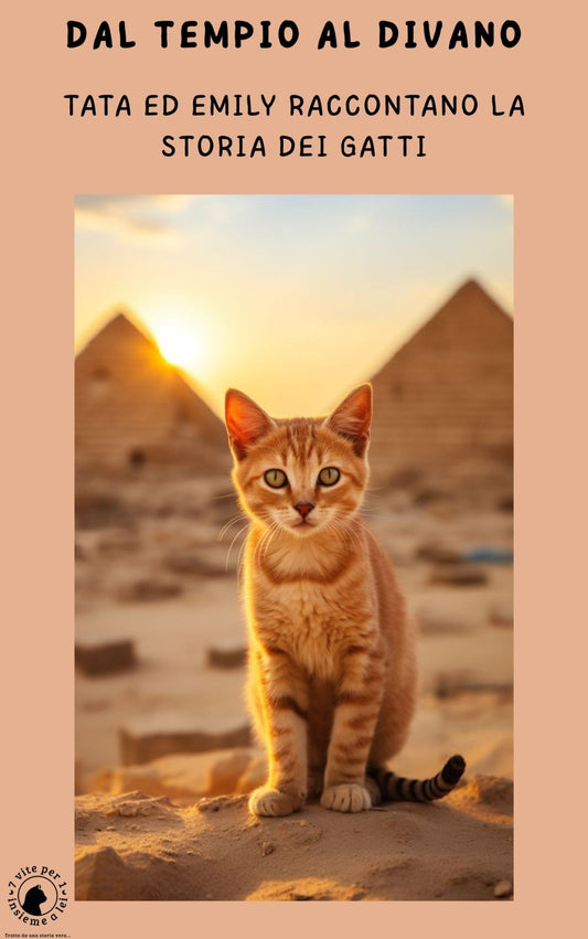  Tempio al Divano - Storia evoluzione gatti ebook