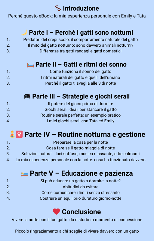 indice gestione attività notturna gatti domestici di Simona Magri