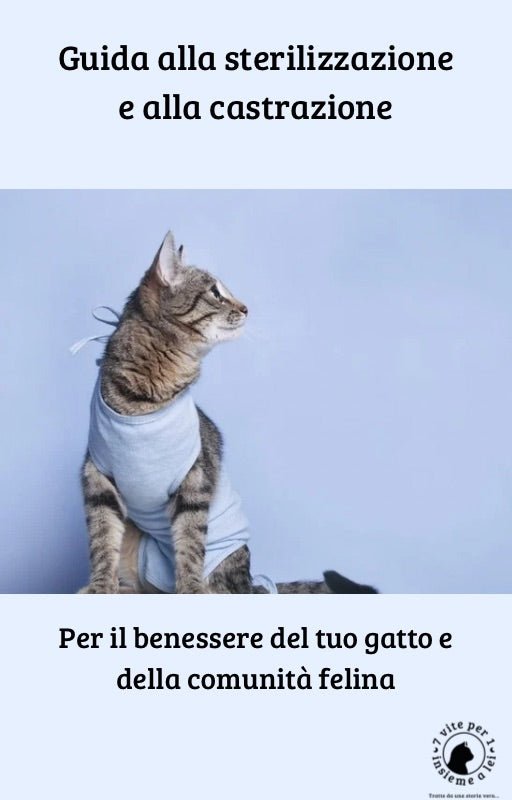 Scelti con amore - Guida sterilizzazione castrazione gatto