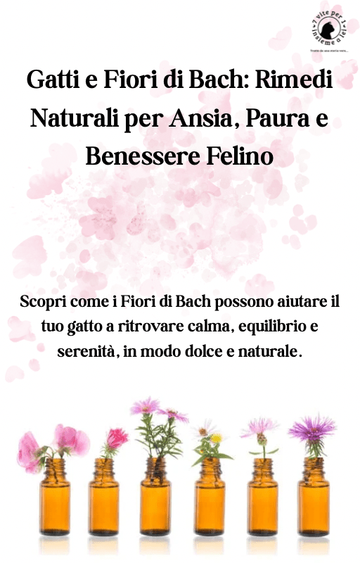  Segnalibro con illustrazione di gatto, perfetto per lettori appassionati di felini  Segnalibro a tema gatto con frasi dolci e design originale  Planner giornaliero con grafica felina e sp