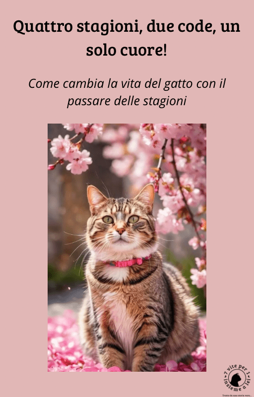  Segnalibro con illustrazione di gatto, perfetto per lettori appassionati di felini  Segnalibro a tema gatto con frasi dolci e design originale  Planner giornaliero con grafica felina e sp