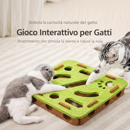 Gioco interattivo per gatti quadrato