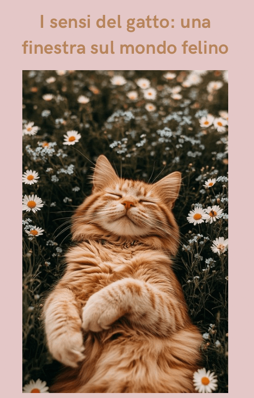 I Sensi del Gatto – Una Finestra sul Mondo Felino 🪟🐾 - 7 vite per 1 insieme a lei 🐾I Sensi del Gatto – Una Finestra sul Mondo Felino 🪟🐾E - bookSimona magri7 vite per 1 insieme a lei 🐾I Sensi del Gatto – Una Finestra sul Mondo Felino 🪟🐾