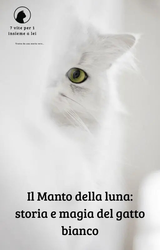 Il manto della luna – Storia e magia del gatto bianco 🌙