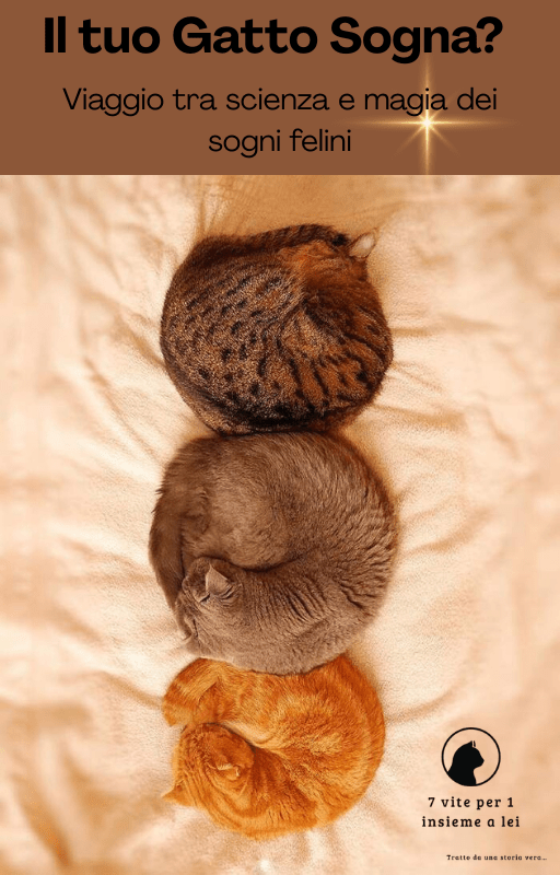 🌙✨ Il tuo Gatto Sogna? Viaggio tra Scienza e Magia dei Sogni Felini 🐾💤 - 7 vite per 1 insieme a lei 🐾🌙✨ Il tuo Gatto Sogna? Viaggio tra Scienza e Magia dei Sogni Felini 🐾💤Simona magri7 vite per 1 insieme a lei 🐾🌙✨ Il tuo Gatto Sogna? Viaggio tra Scienza e Magia dei Sogni Felini 🐾💤