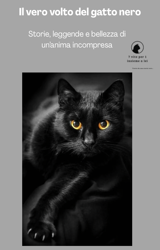 L’Incanto del gatto nero. Tra leggende, verità e magia felina🐾 - 7 vite per 1 insieme a lei 🐾L’Incanto del gatto nero. Tra leggende, verità e magia felina🐾E - bookSimona magri7 vite per 1 insieme a lei 🐾L’Incanto del gatto nero. Tra leggende, verità e magia felina🐾